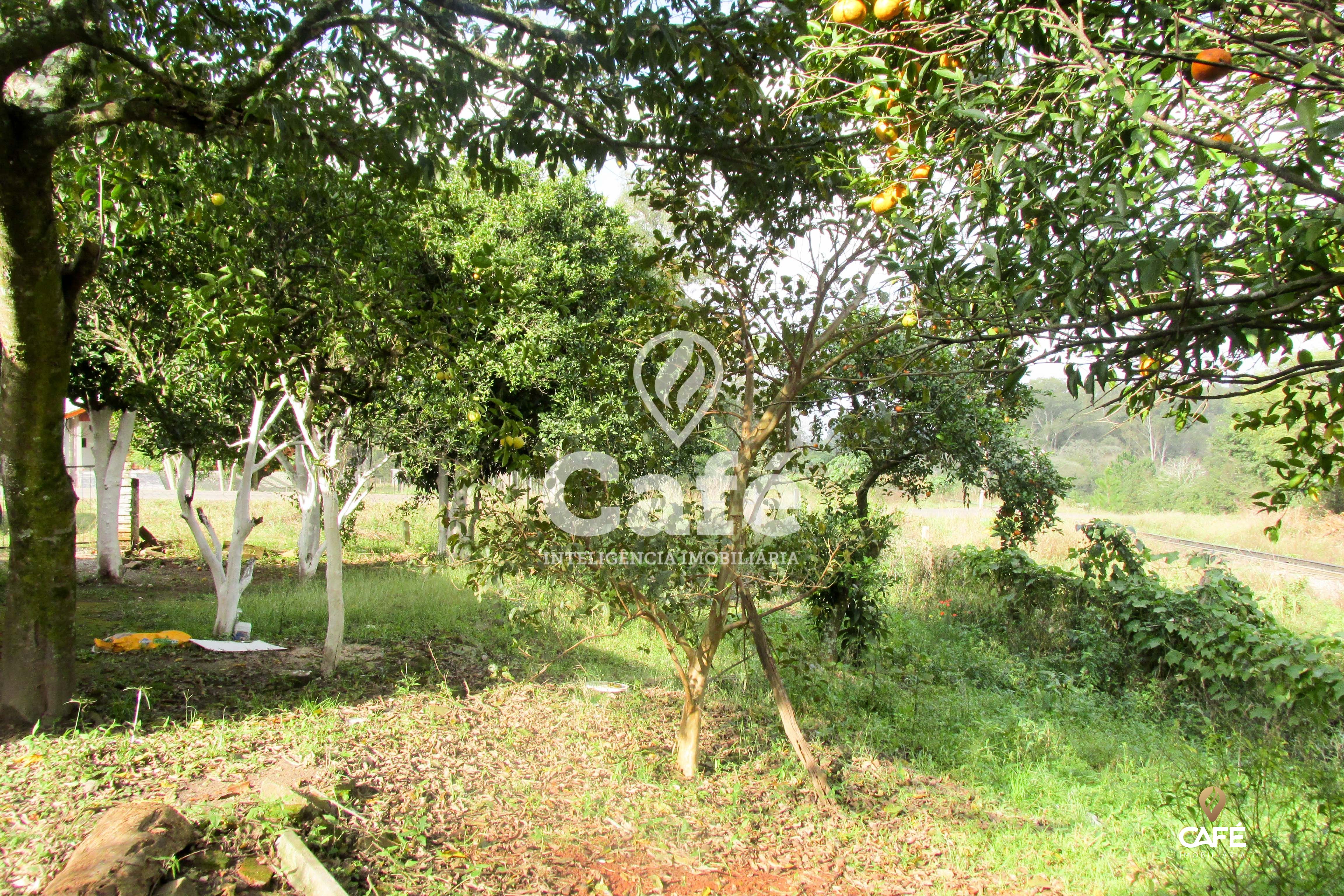 Casa, 2 quartos, 70 m² - Foto 17