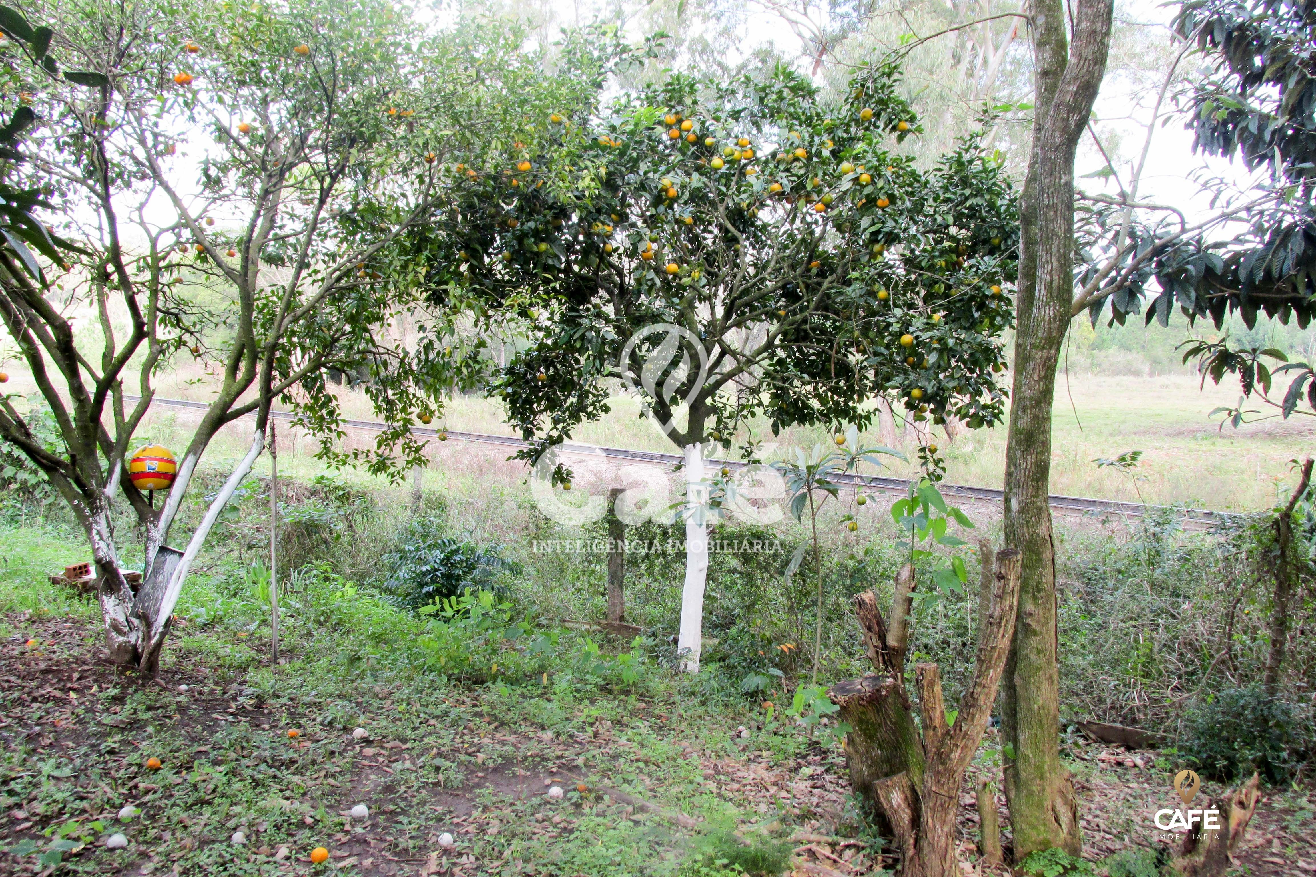 Casa, 2 quartos, 70 m² - Foto 15