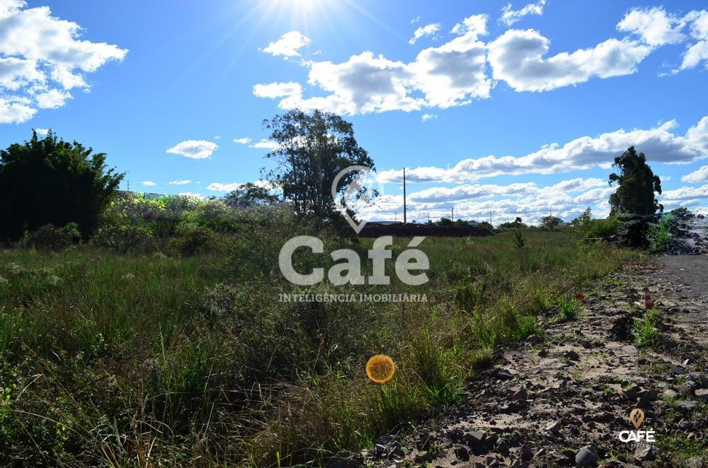 Terreno à venda, 30000m² - Foto 3