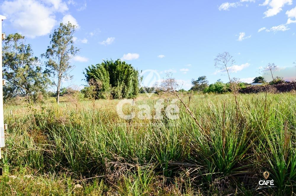 Terreno, 3 hectares - Foto 4