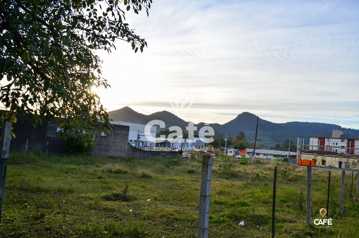 Terreno à venda, 2520m² - Foto 4