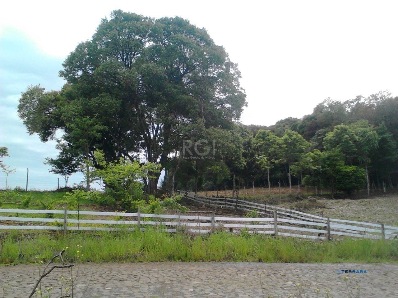 Geminado, 2 quartos, à venda, 2.337 m², Centro - Barão de Cotegipe — foto 2