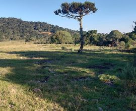 terreno-urubici-imagem