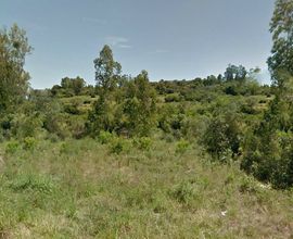 terreno-sao-pedro-do-sul-imagem