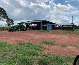 fazenda-castanheiras-imagem