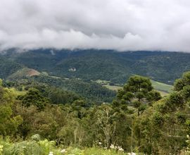 terreno-urubici-imagem