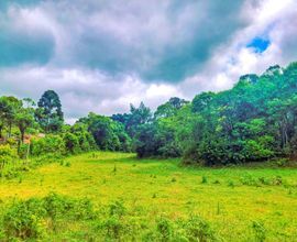 sitio-gramado-imagem