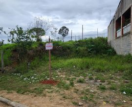 terreno-biritiba-mirim-imagem