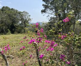 terreno-guaramiranga-imagem