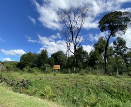 terreno-sao-francisco-de-paula-imagem