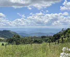 sitio-gramado-imagem
