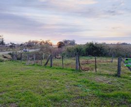 terreno-julio-de-castilhos-imagem