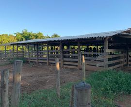 fazenda-pimenta-bueno-imagem
