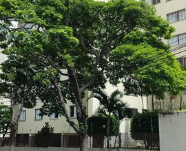 apartamento-sao-paulo-imagem