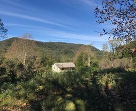 sitio-gramado-imagem