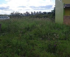 terreno-sao-pedro-do-sul-imagem