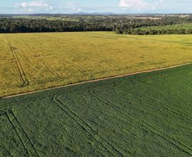 fazenda-castanheiras-imagem