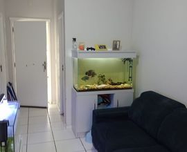 casa-pelotas-imagem