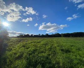 terreno-itaara-imagem