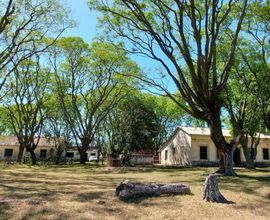 fazenda-sao-gabriel-imagem