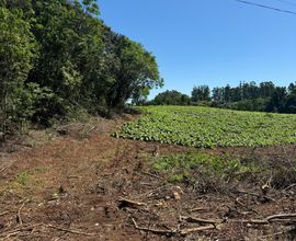 chacara-santa-cruz-do-sul-imagem