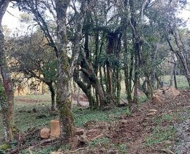 terreno-urubici-imagem