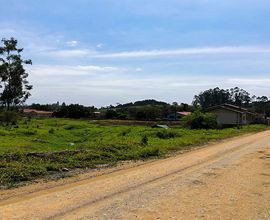 terreno-lontras-imagem