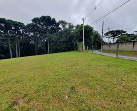 area limpa gramada frente