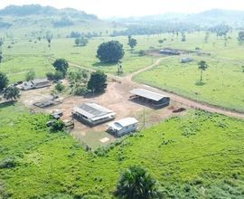 fazenda-cacoal-imagem