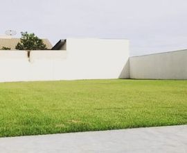 terreno-santa-maria-imagem