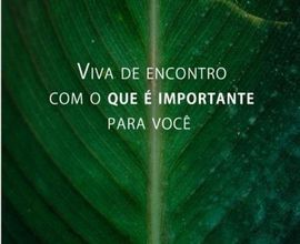 apartamento-torres-imagem