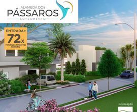 terreno-comercial-ijui-imagem