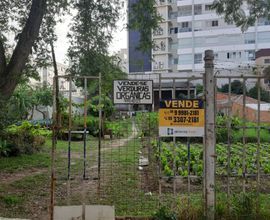 frente