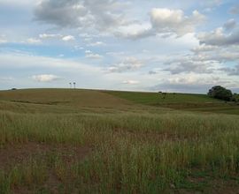 area-rural-sao-joao-do-polesine-imagem