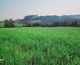 area-rural-nova-prata-imagem