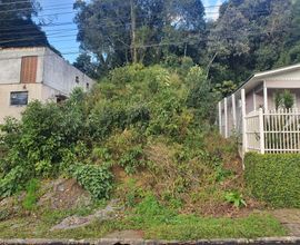terreno-gramado-imagem