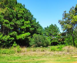 terreno-arroio-do-sal-imagem