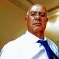 Meirelles