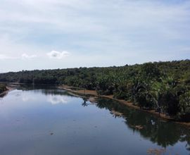 chacara-chapada-dos-guimaraes-imagem