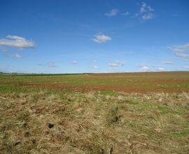 area-rural-sao-sepe-imagem