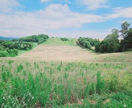 area-rural-nova-bassano-imagem