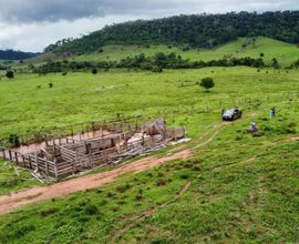 sitio-cacoal-imagem
