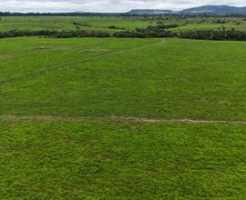 fazenda-seringueiras-imagem