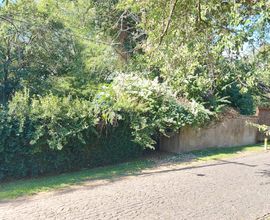 terreno-santa-maria-imagem
