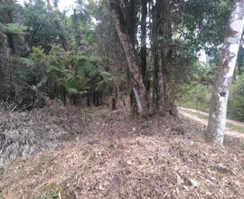 chacara-sao-jose-dos-pinhais-imagem