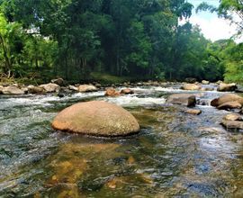 chacara-morretes-imagem