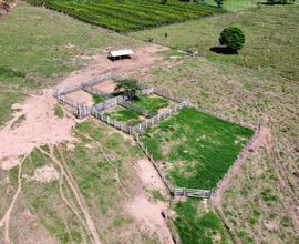 fazenda-nova-brasilandia-doeste-imagem