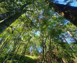 sitio-santa-maria-do-herval-imagem