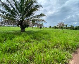 fazenda-espigao-doeste-imagem
