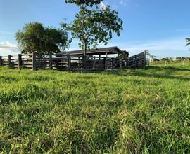 sitio-cacoal-imagem